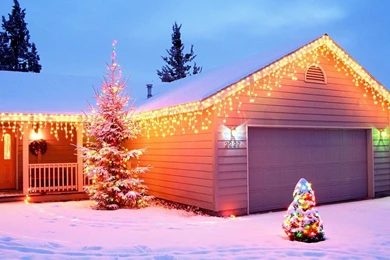 Nature Wallpapers   Winter, Brown, Indianred, Lightpink