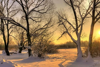 Winter Nature Wallpapers Best Quality ~ Wallpapers Area