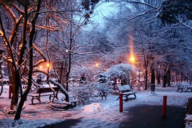 Wallpapers Seasons Winter Nature Image