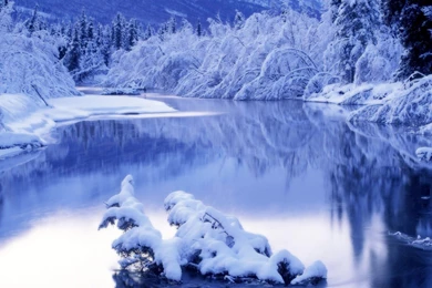 IRBOB SEVENFOLD: Winter Nature Wallpapers Desktop
