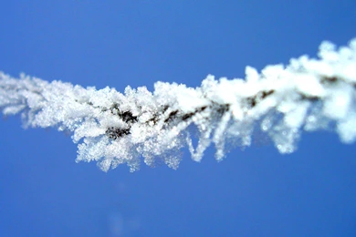 Nature Wallpapers   HD (1920x1080)