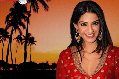 Sonam Kapoor Wallpapers Picture Image 1280x960 10104