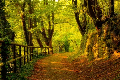 Download Top Scenery Backgrounds 1920x1200   Full HD Wall