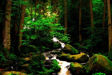 Selection Of Natural Landscape Photography Wallpapers 11 ...