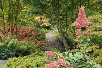 Charming Natural Scenery HD Wallpapers (2)