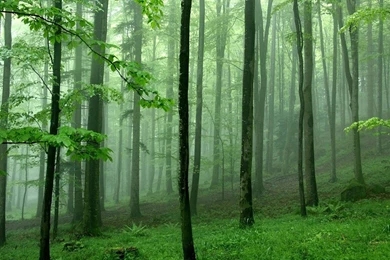 Selection Of Natural Landscape Photography Wallpapers 5 ...