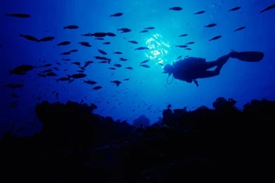 1001Places: Deep Blue Sea Wallpapers Part 2