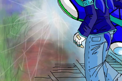 Pat Style Sonic Riders Zero Gravity By PatriciaRL On DeviantArt