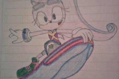 Britney Lily  Sonic Riders Zero Gravity 2 By PokemonDutchess On ...