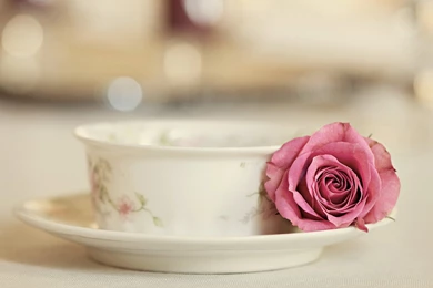 Beautiful Tea Cup Wallpapers
