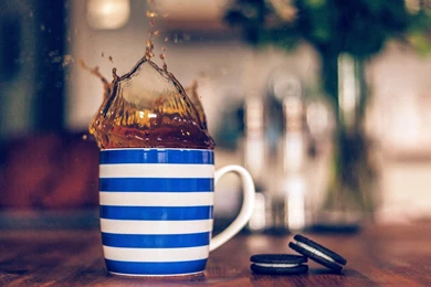 Tea Cup, Splash, Monochorm, Cookies Oreo, Macro, Blur, Fullscreen