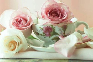 Roses And Teacup   (