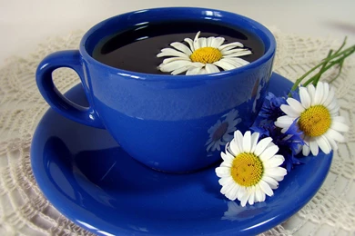 Download Wallpapers 3840x2400 Tea, Cup, Plate, Camomile, Flowers ...