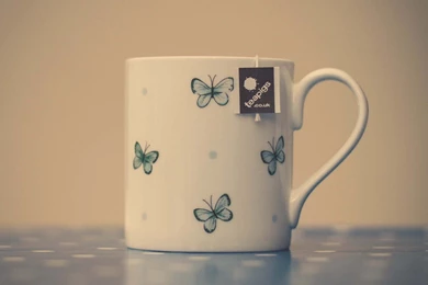 Mood cup tea splash flowers hd wallpapers   Magic4Walls.com