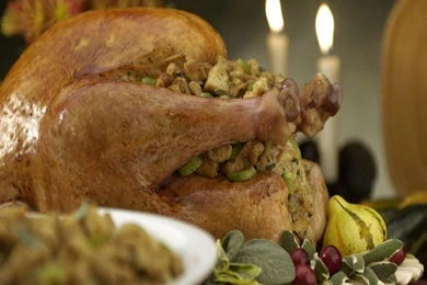 Thanksgiving Dinner Wallpapers 1600x1200 274841