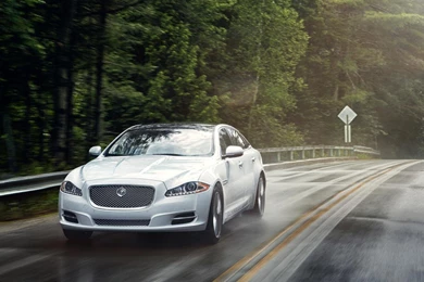Jaguar Xj 2014 White   Image