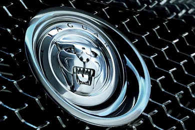 2007 Jaguar C XF Concept   Front Grille Emblem   1920x1440   Wallpapers