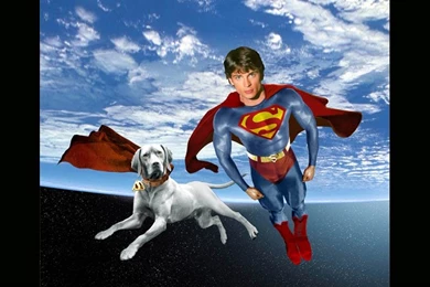 Wallpapers Fitness Boys Superman Fan Art Featuring Krypto And ...