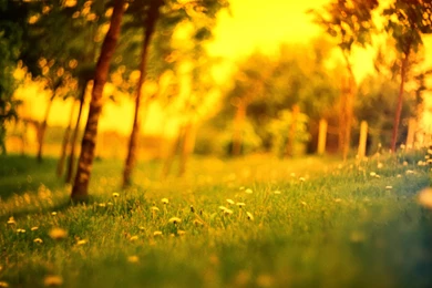 Sunlight Wallpapers Desktop Wallpaper, Size: 2560x1600 ...