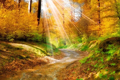 Sunlight Wallpapers HD