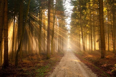 Best Nature Wallpaper: Sunlight, 358972, Nature