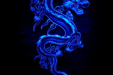 Cool Blue Dragon Black Fire Wallpaper Backgrounds Picture And ...