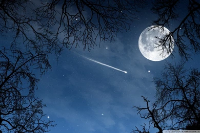Shooting Star HD Desktop Wallpapers : High Definition : Fullscreen ...