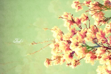 Backgrounds Spring   Wallpapers Cave