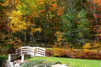 Great Wallpapers — Free Full HD Wallpaper. Widescreen HQ Desktop ...