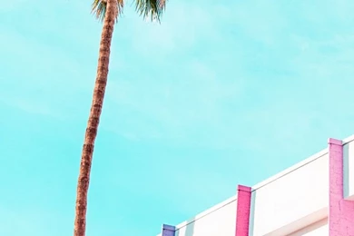 Palms Springs iPhone Wallpapers