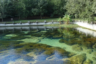 Florida Springs Wallpapers