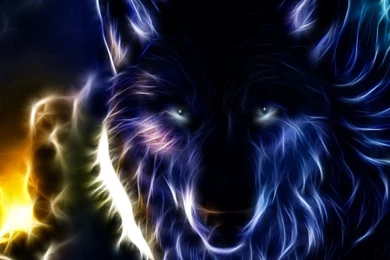 Snook Wallpaper Images & Pictures   Findpik