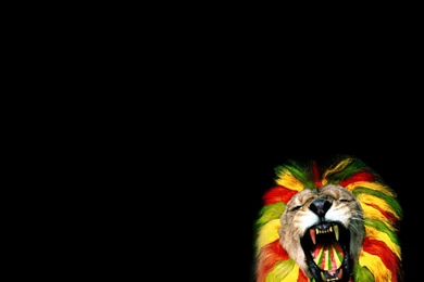 Reggae Island Wallpapers Pictures, Images & Photos