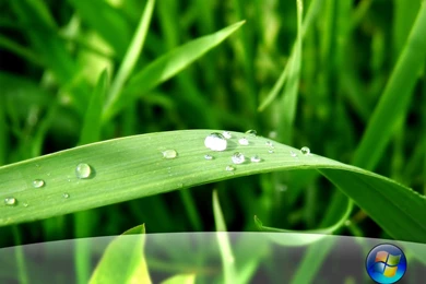 Nature Windows Vista Wallpapers 1280x1024 Pixel Nature Hd