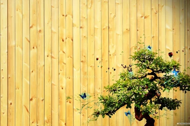 Backgrounds Wallpapers Hd Cool   Fullwidehd.com