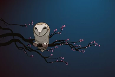 MAX MAGAZIN: Beautiful iPhone And iPad Retina Wallpapers