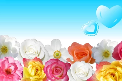 Free Desktop Backgrounds And Wallpapers: Wallpapers For Hp Laptops