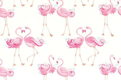 Pretty Flamingo Wallpapers At Laura Ashley