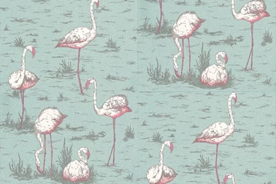 Flamingos By Cole & Son : Wallpapers Direct
