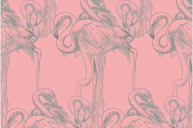 Flamingo Unwoven Wallpapers   Pop