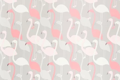 Flamingo Dance Wallpapers Sheet   Contemporary   Wallpapers   By ...