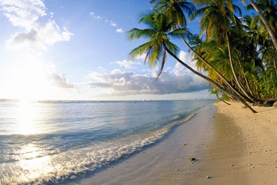 Beach Free Wallpapers   Mbagusi.com