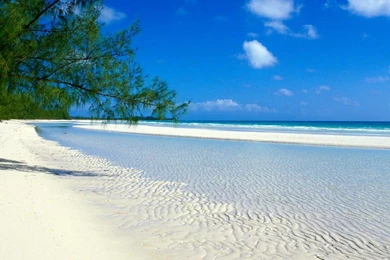 Wallpapers Beaches Beach Free From Zet Com 1600x900