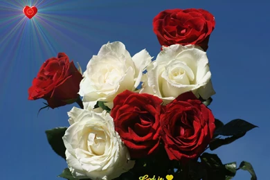 Jesus Loves You Wallpapers   All Wallpapers New