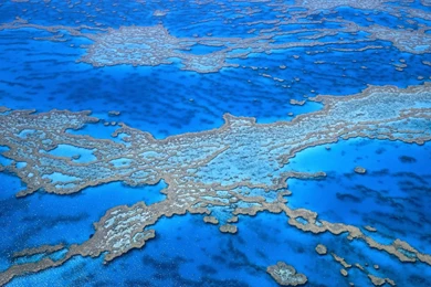 Great Barrier Reef Wallpapers   Wallpapers Cave