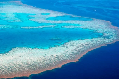 Great Barrier Reef Wallpapers