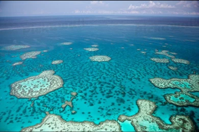 Design Your Own Custom Removable Wallpaper. Image: Great Barrier ...