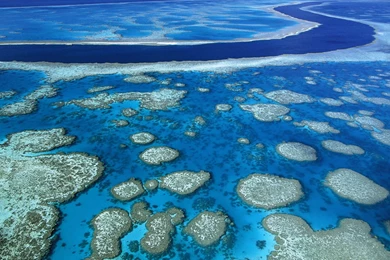 7 Great Barrier Reef HD Wallpapers