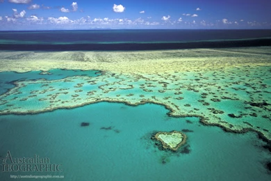 Images Of Australia: Heart Reef, Great Barrier Reef, QLD ...