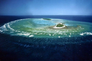 GREAT BARRIER REEF WALLPAPER   (